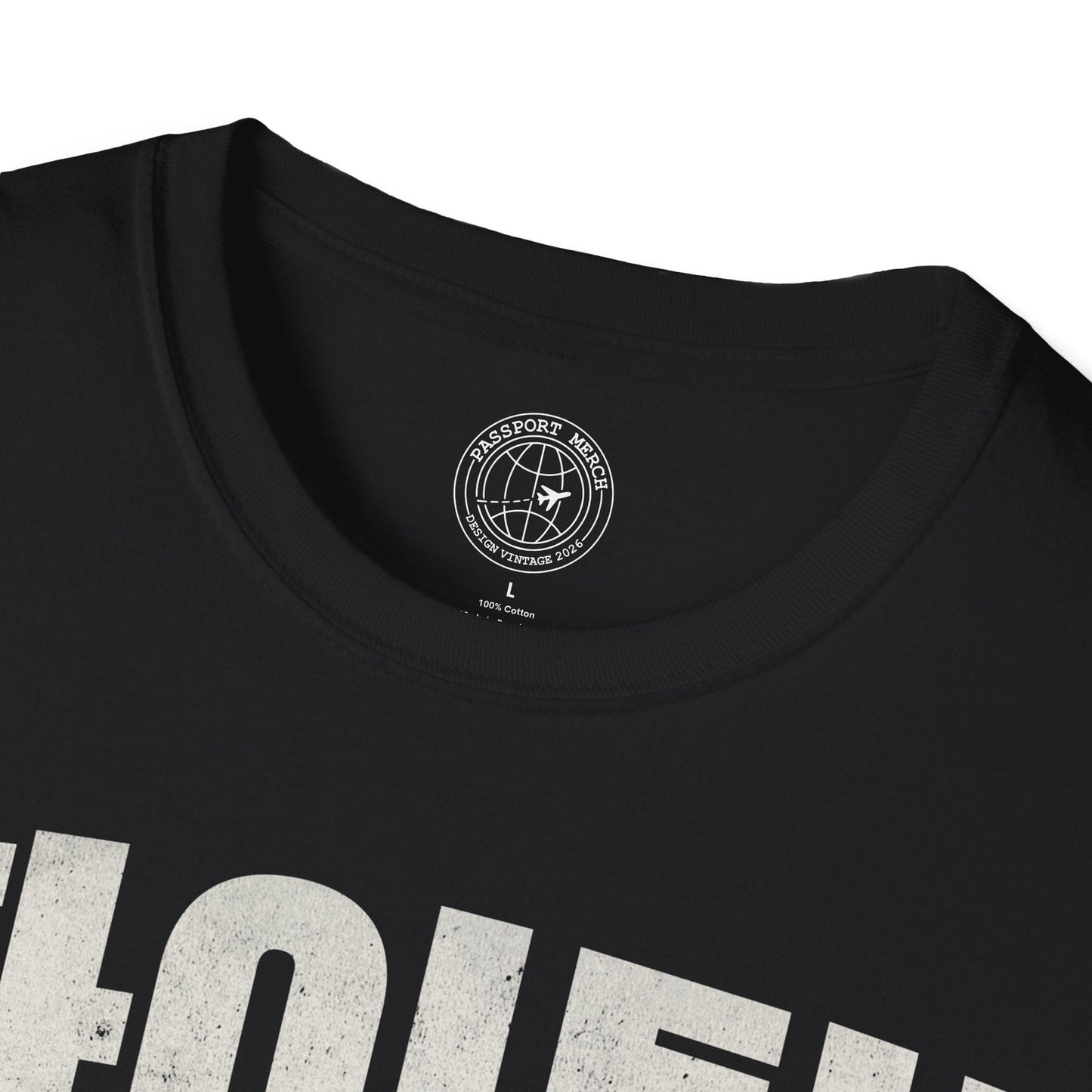 Hwaiting! (K-Drama 101) Korea T-Shirt