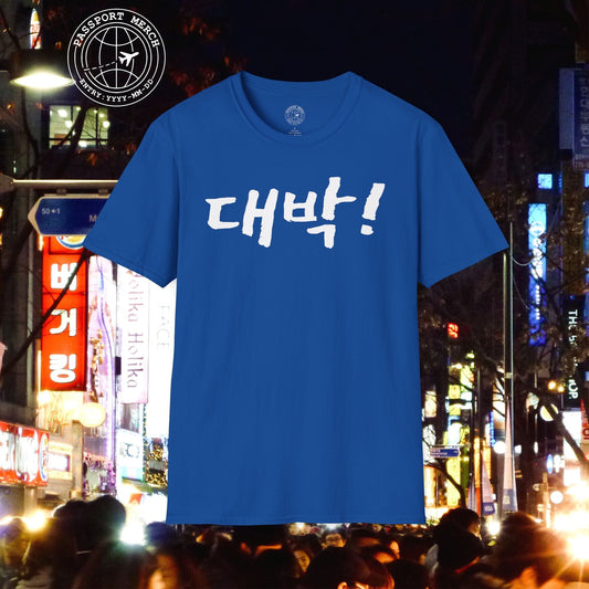 K-Drama 101 - Daebak! - Korea T-Shirt