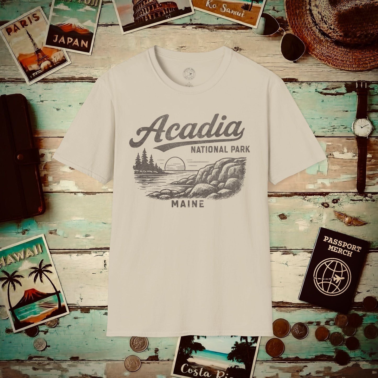 Acadia National Park Vintage Monochrome, Maine T-Shirt Sand / S