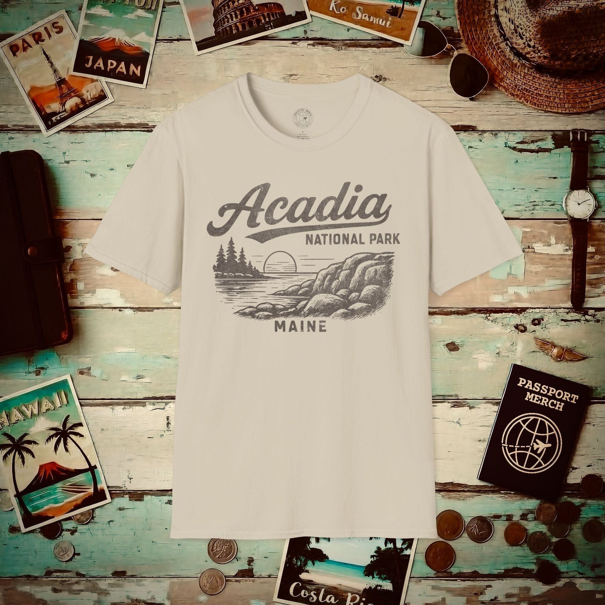 Acadia National Park Vintage Monochrome, Maine T-Shirt Sand / S