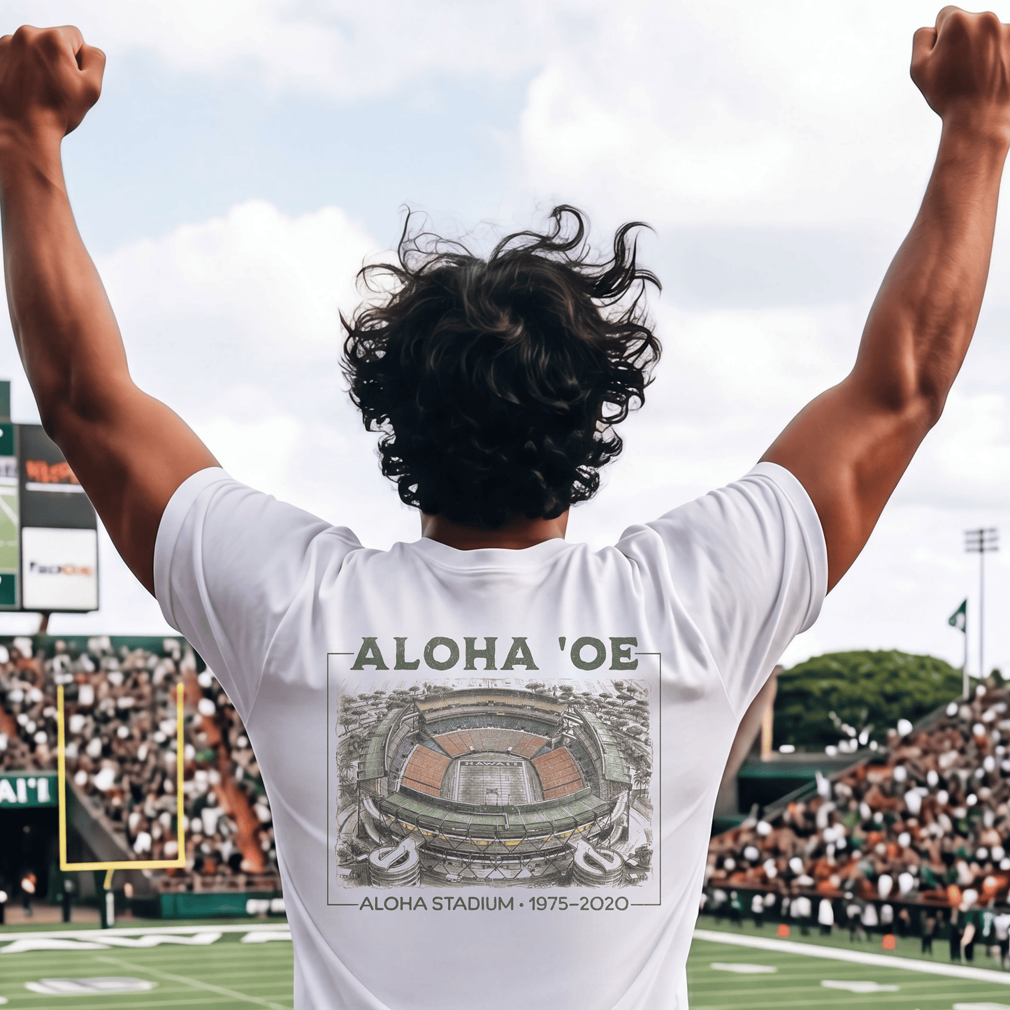 Aloha Oe, Stadium Aerial Sketch, Hawaii Back Print T-Shirt White / S
