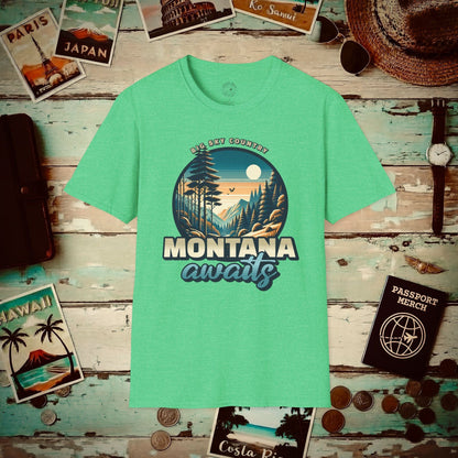 Big Sky Country Montana T-Shirt Heather Irish Green / S