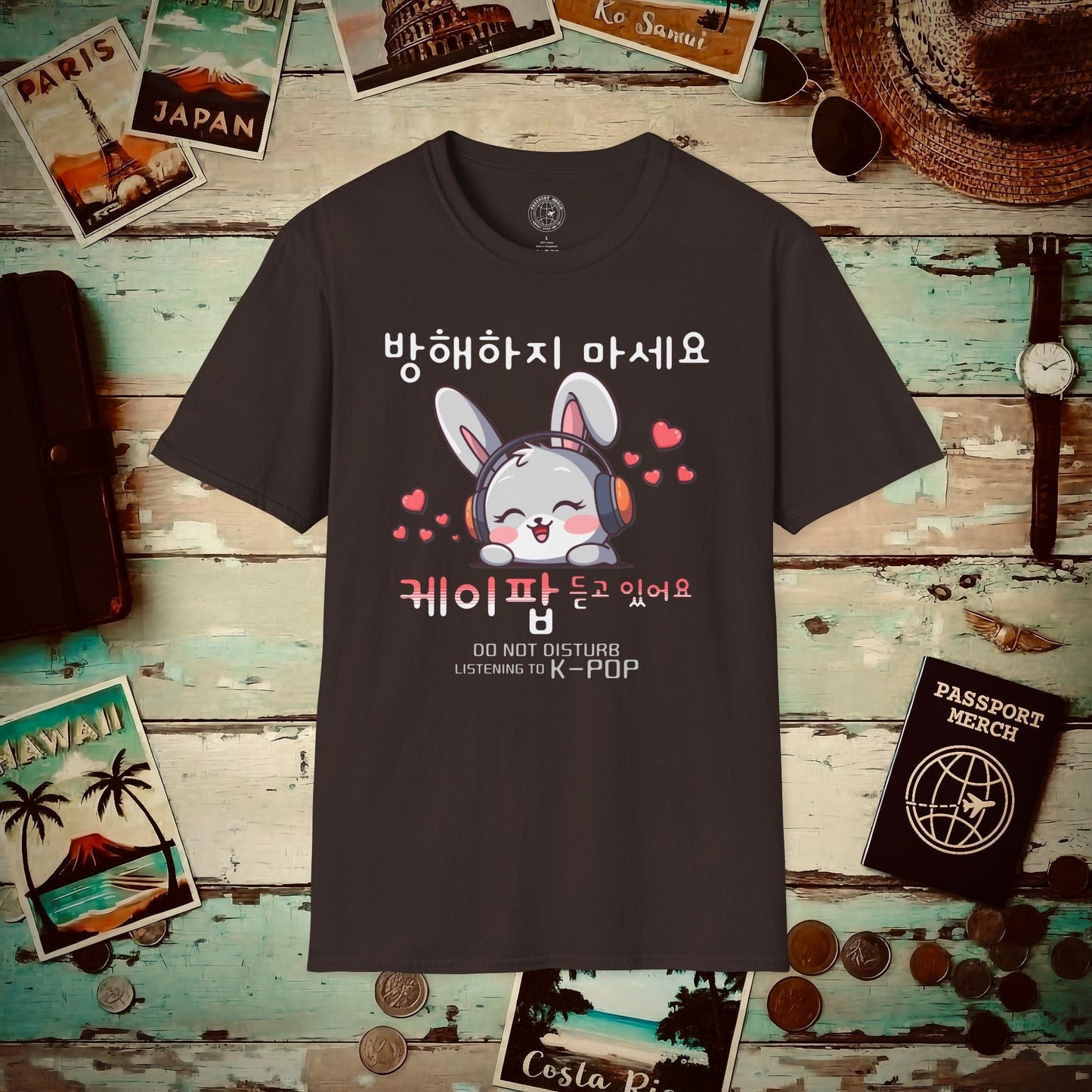Do Not Disturb, Listening to K-Pop Korea T-Shirt Dark Chocolate / S