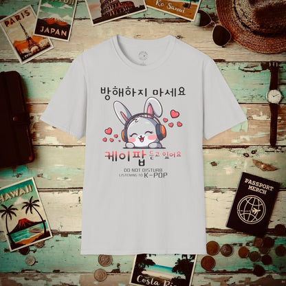 Do Not Disturb, Listening to K-Pop Korea T-Shirt Ice Grey / S