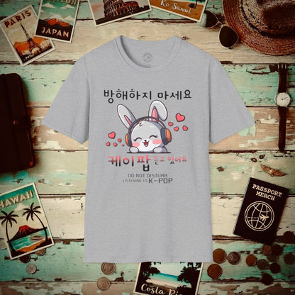 Do Not Disturb, Listening to K-Pop Korea T-Shirt Sport Grey / S