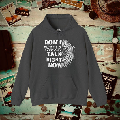 Don't Wana Talk Right Now, Hawaii Hoodie Dark Heather / S