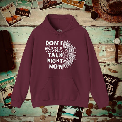 Don't Wana Talk Right Now, Hawaii Hoodie Maroon / S
