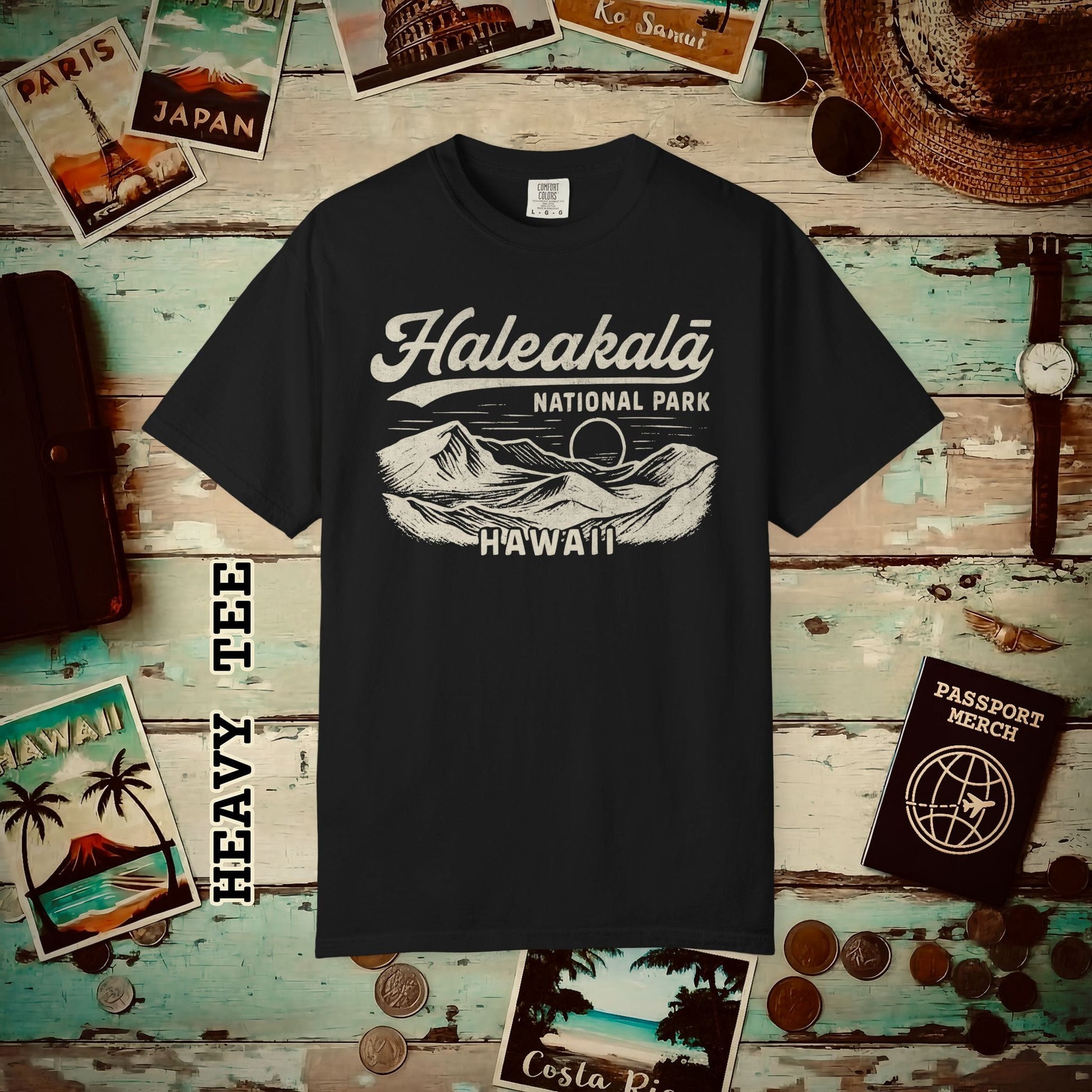 Haleakala National Park Vintage Monochrome, Hawaii Heavy Tee Black / S