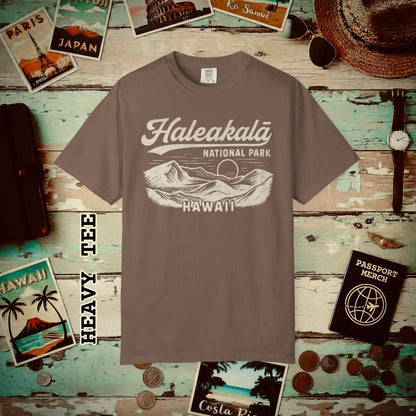 Haleakala National Park Vintage Monochrome, Hawaii Heavy Tee Espresso / S