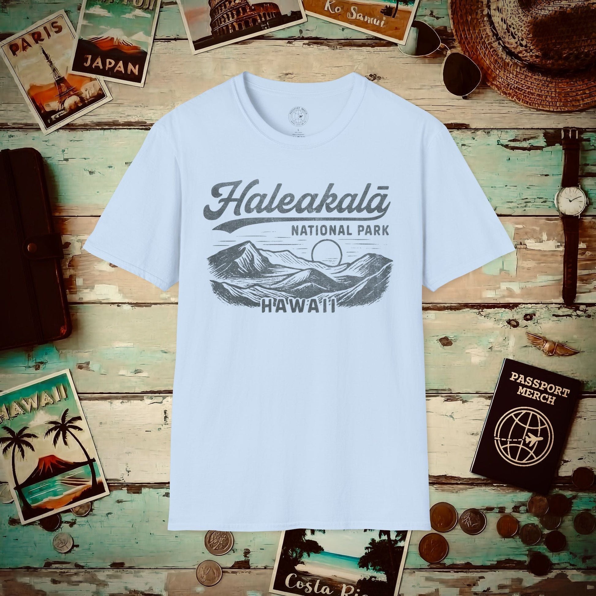 Haleakala National Park Vintage Monochrome, Hawaii T-Shirt Light Blue / S