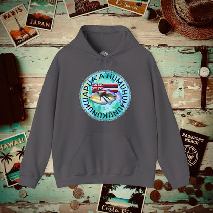 Humuhumunukunukuapua'a, Hawaii Hoodie Charcoal / S