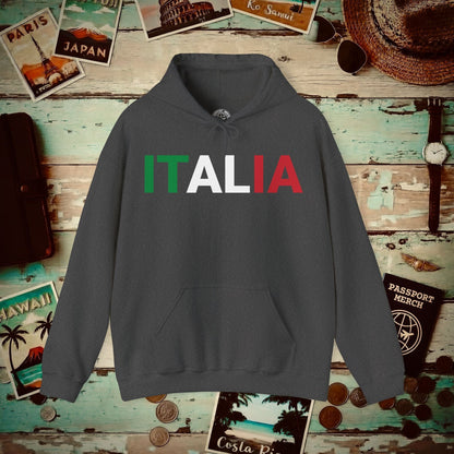 Italia Patriotism Italy Letter Flag Hoodie Dark Heather / S