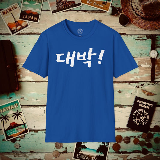 K-Drama 101 - Daebak! - Korea T-Shirt Royal / S
