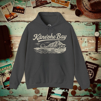Kaneohe Bay Vintage Monochrome, Hawaii Hoodie Dark Heather / S