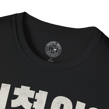 Michyeosseo? (K-Drama 101) Korea T-Shirt