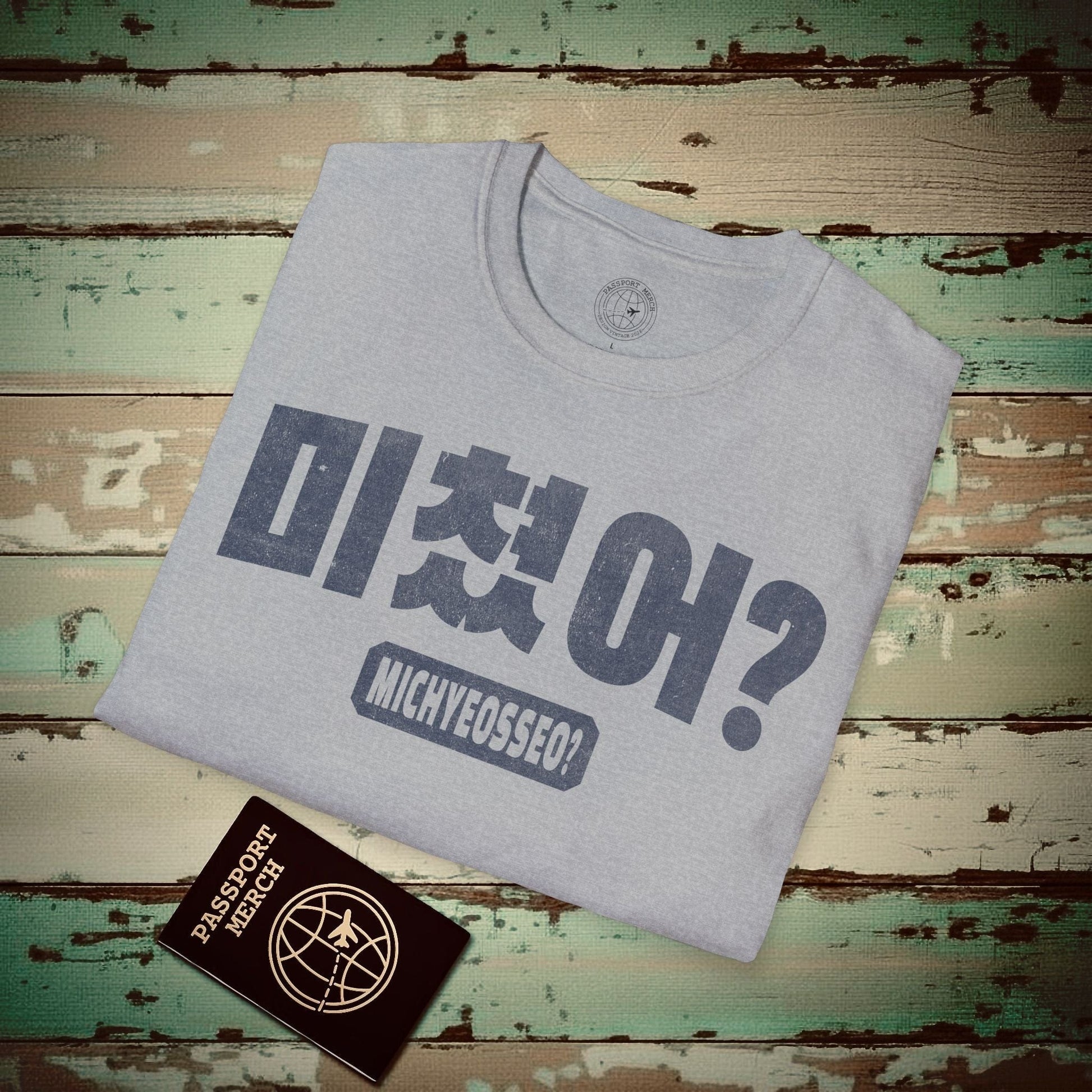 Michyeosseo? (K-Drama 101) Korea T-Shirt Sport Grey / S