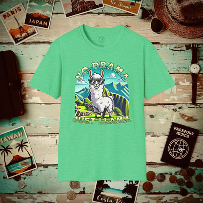 No Drama Just Llama Machu Picchu Peru T-Shirt Heather Irish Green / S