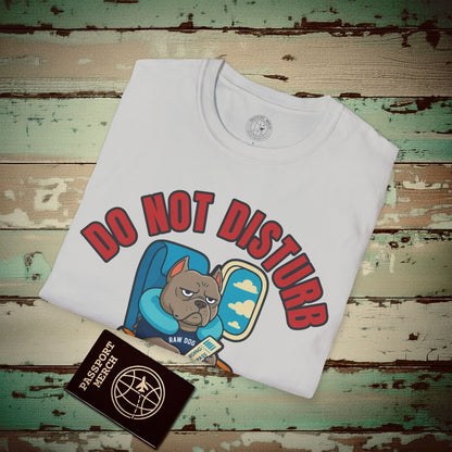 Raw Dogging - Do Not Disturb T-Shirt Ice Grey / S