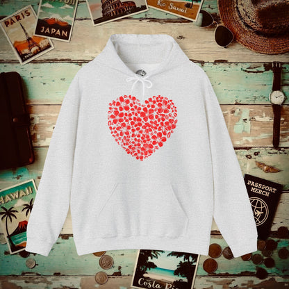 Valentine's Hawaiian Plumeria Heart Hoodie Ash / S
