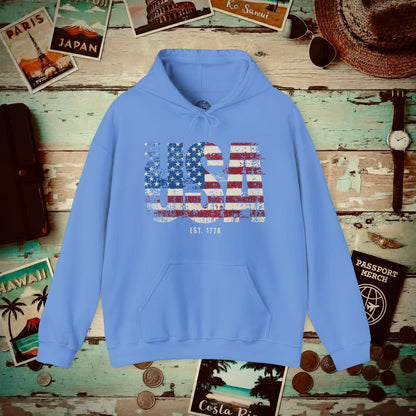 Vintage Distressed USA Letter Flag Hoodie Carolina Blue / S