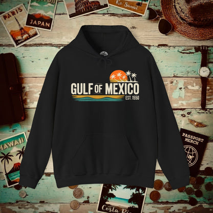 Vintage Retro Gulf of Mexico Hoodie Black / S