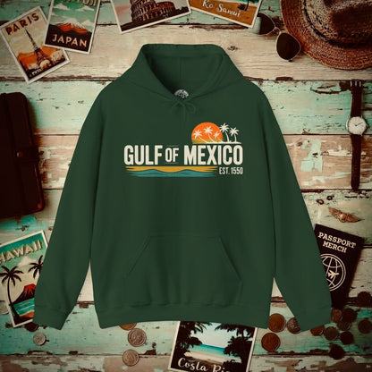 Vintage Retro Gulf of Mexico Hoodie Forest Green / S