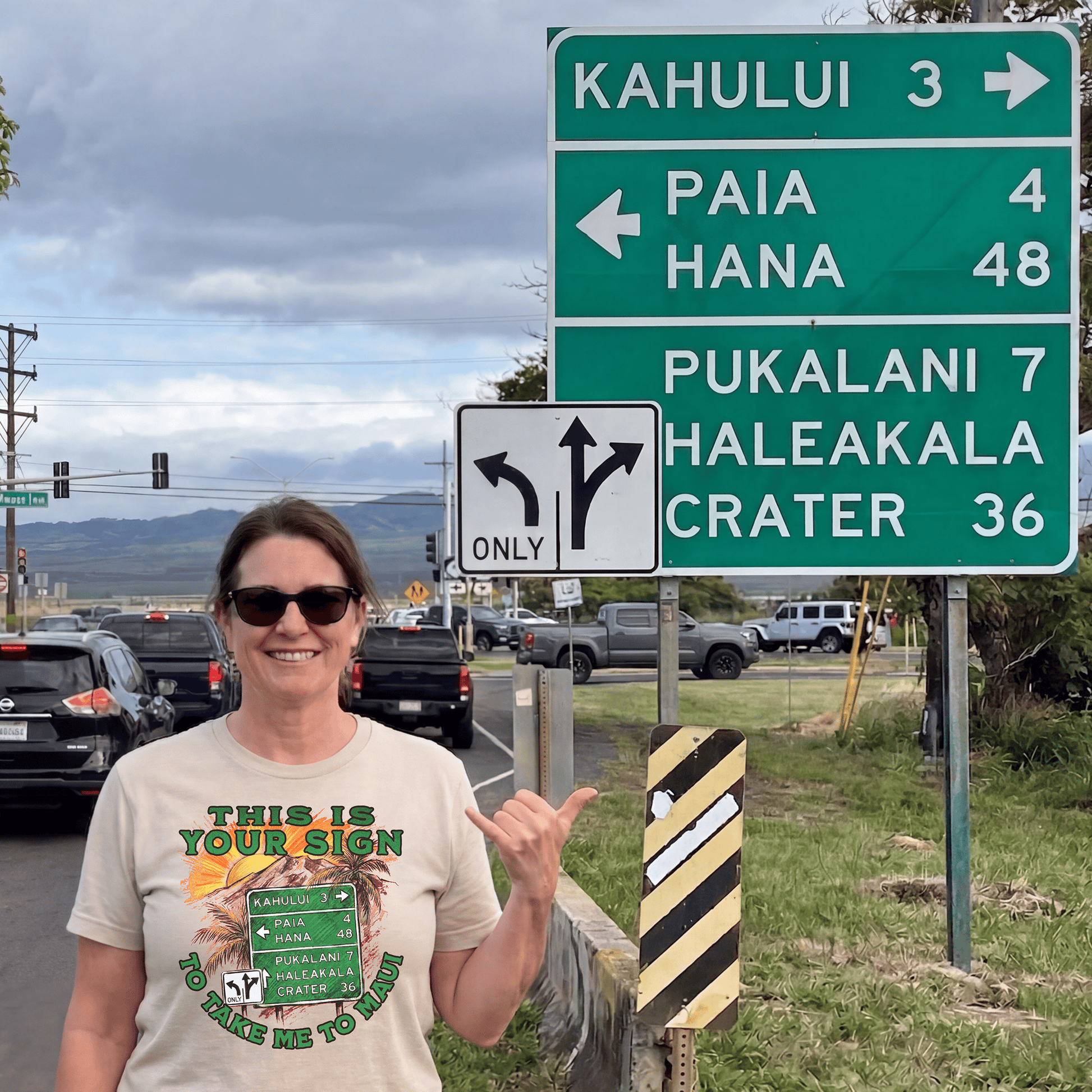 Your Sign to Take Me to Maui, Hawaii T-Shirt Sand / S